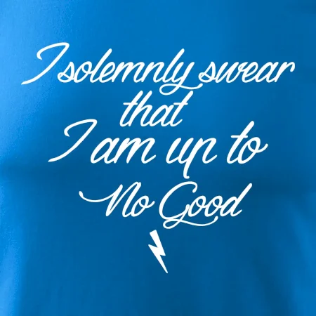 I solemnly swear that I'm up to no good