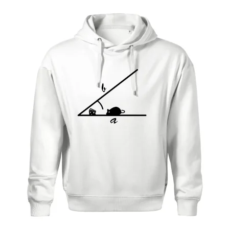 Matematická myš