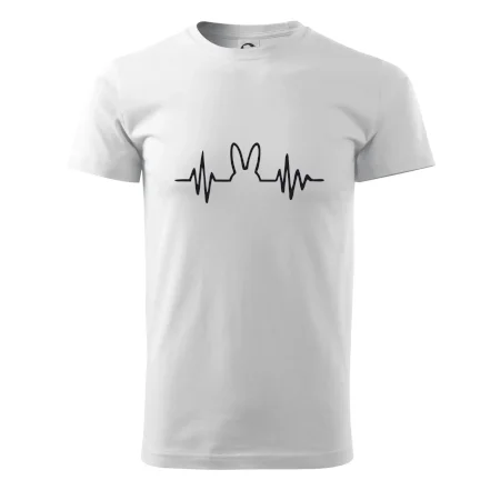 EKG zajac