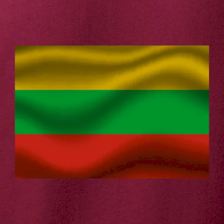 Litva vlajka obdĺžnik