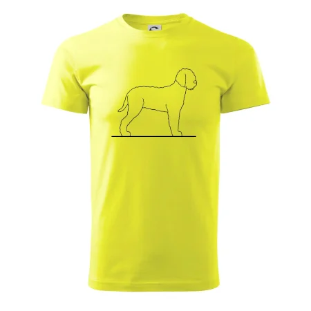 Lagotto romagnolo stojaci