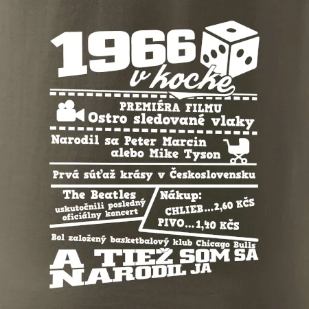 1966 v kocke