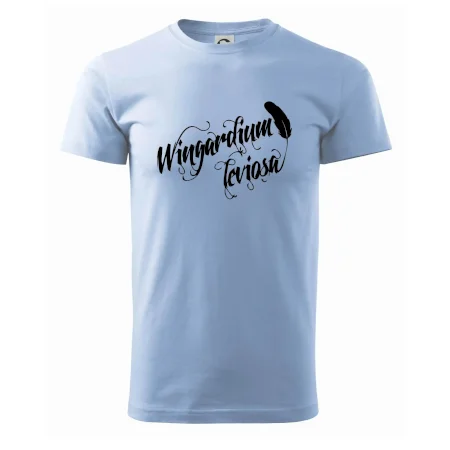 Harry - Wingardium Leviosa