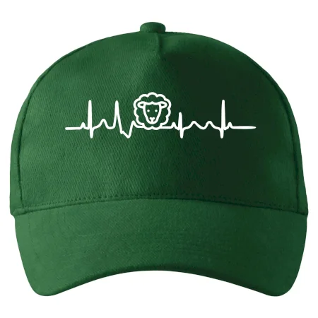 Ekg ovce