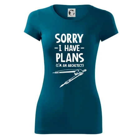 Sorry I have plans - architect