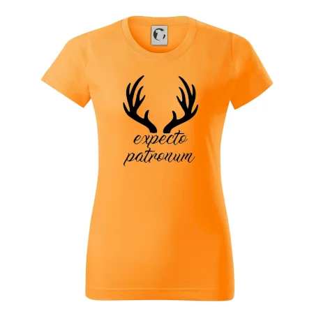 Harry - Expecto patronum