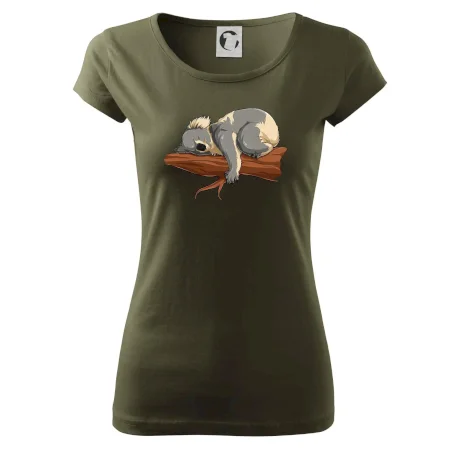 Koala na vetve