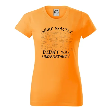 What exactly didn't you understand - physics