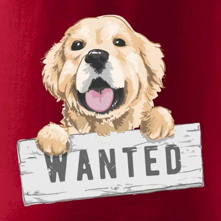 Zlatý retriever - šteniatko wanted