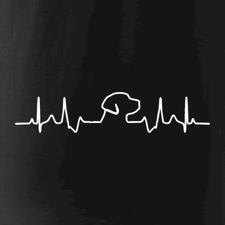 Labradorský retriever‎ EKG