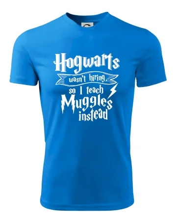 Harry - Hogwarts wasn’t hiring, so I teach Muggles instead