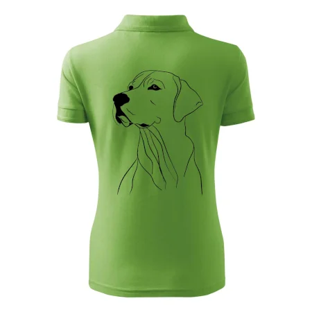 Labrador čierna kresba