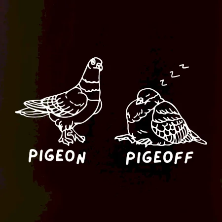 Pigeon pigeoff