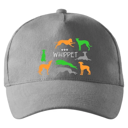 Whippet farebný