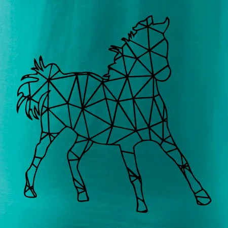 Geometria - kôň jednofarebná