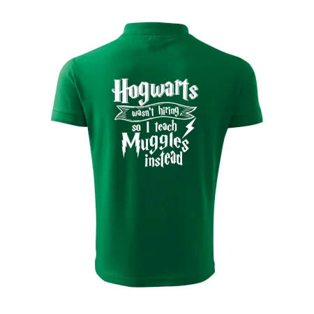 Harry - Hogwarts wasn’t hiring, so I teach Muggles instead