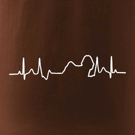 Shih-tzu ekg obrys