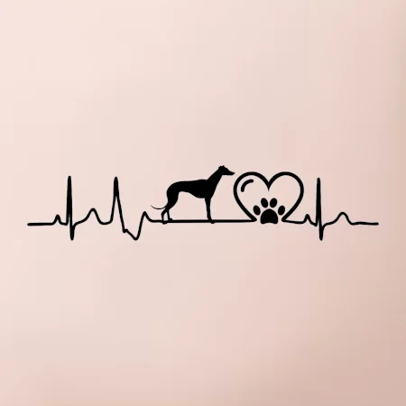 Chrt - Ekg