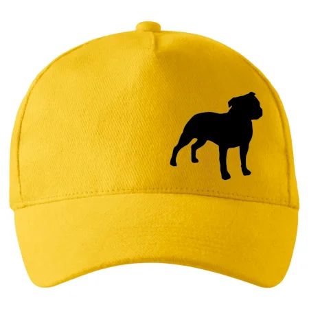 Americký stafordšírsky teriér Na prsníku