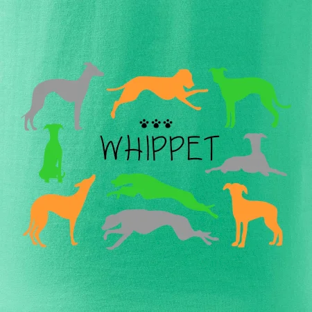 Whippet farebný