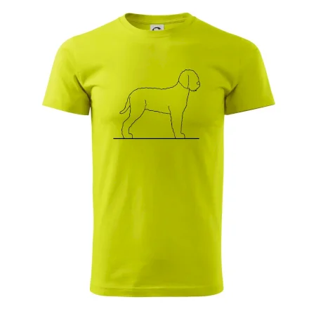 Lagotto romagnolo stojaci