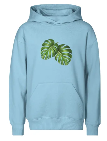 Monstera - dva listy