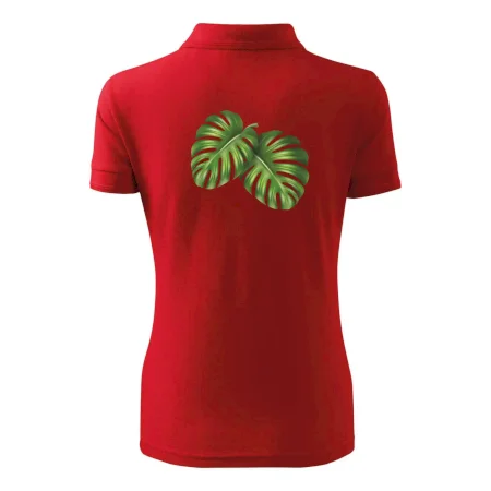 Monstera - dva listy
