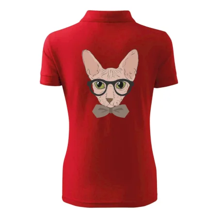 Hipster sphynx