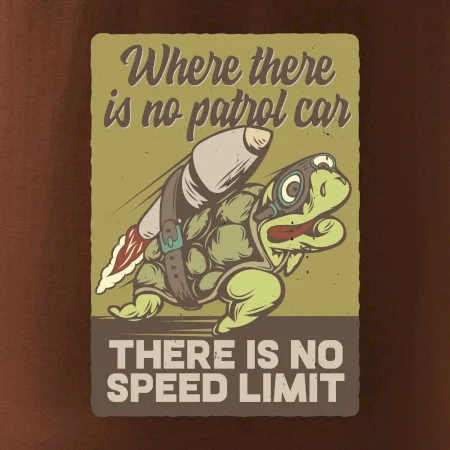 Korytnačka na cestách