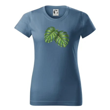 Monstera - dva listy