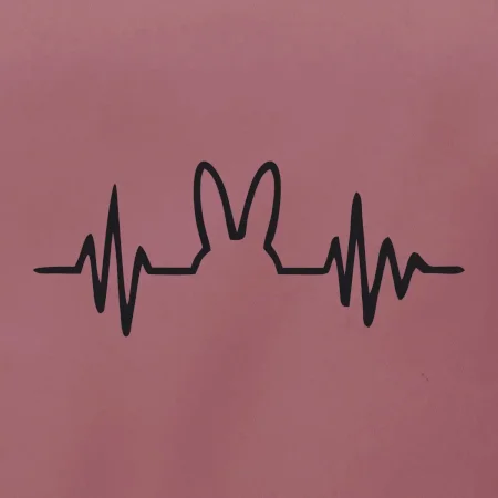 EKG zajac