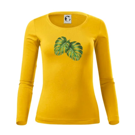 Monstera - dva listy