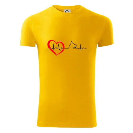Nemecký ovčiak ekg