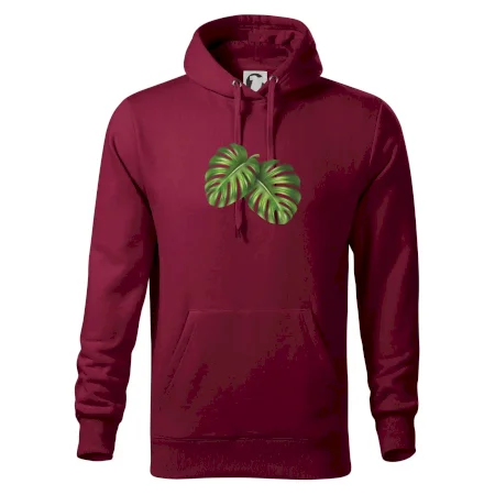 Monstera - dva listy