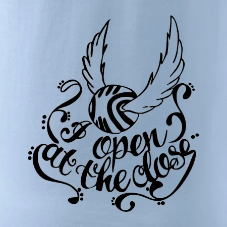 Harry - Zlatá strela