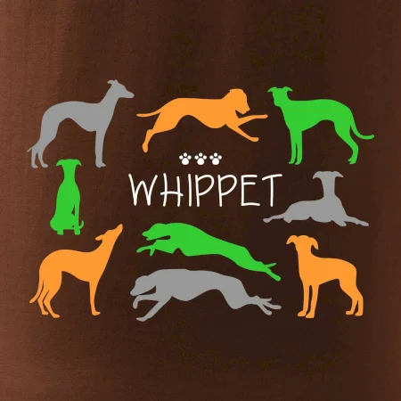 Whippet farebný