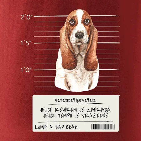 Baset - lump a darebák  