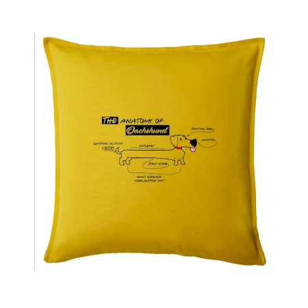 Jazvečík - Anatómia