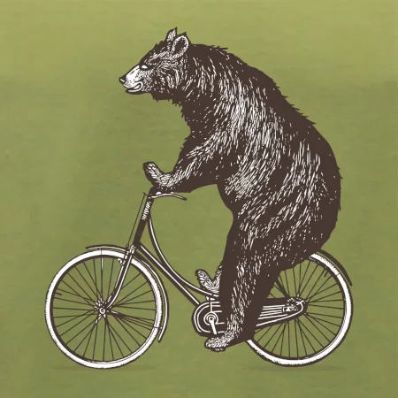 Medveď na bicykli