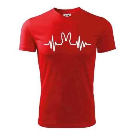 EKG zajac
