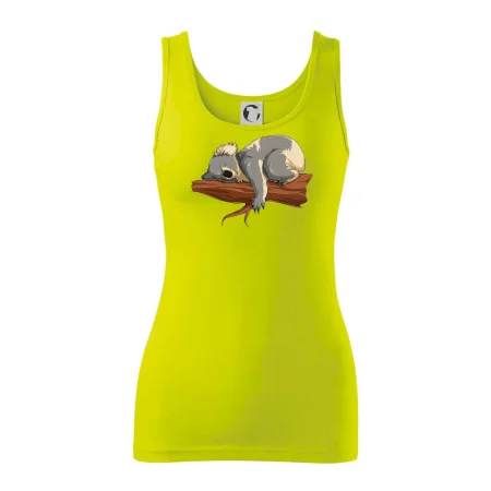 Koala na vetve