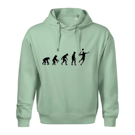 Evolúcia Bedminton