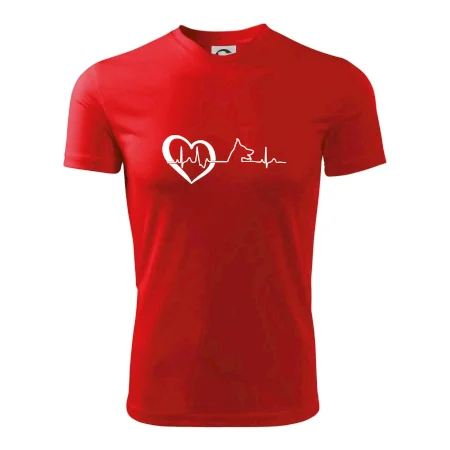 Nemecký ovčiak ekg