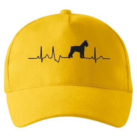 Ekg bradáč telo