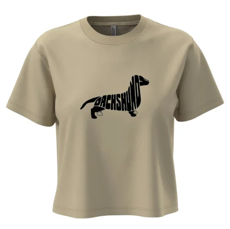 Jazvečík - Dachshund