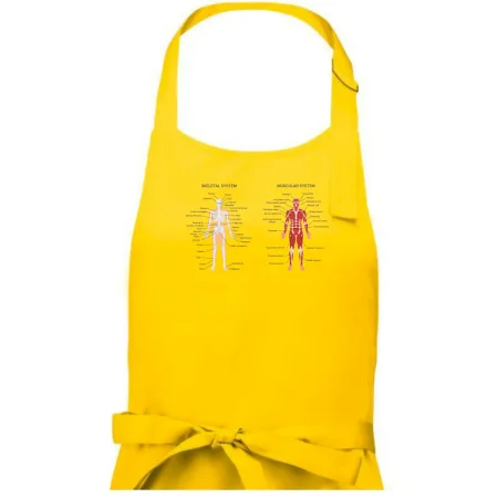 Skelet and Moscular system