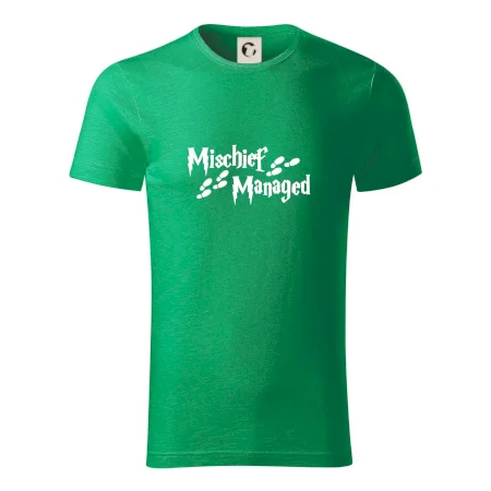 Harry - Mischief Managed