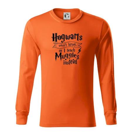 Harry - Hogwarts wasn’t hiring, so I teach Muggles instead
