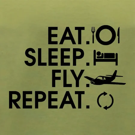 Eat sleep fly repeat
