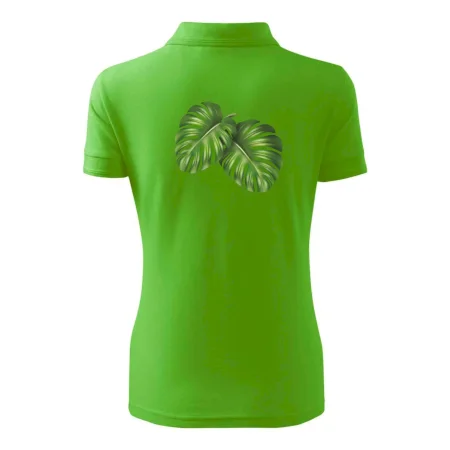 Monstera - dva listy